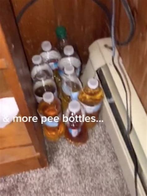 Compilation pee porn videos. All in one package .